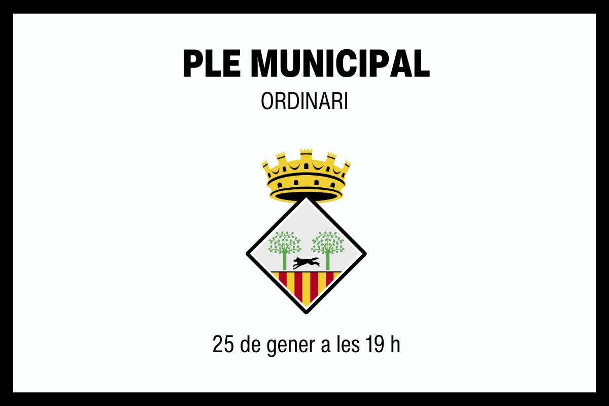 2024 1 25 Ple Municipal