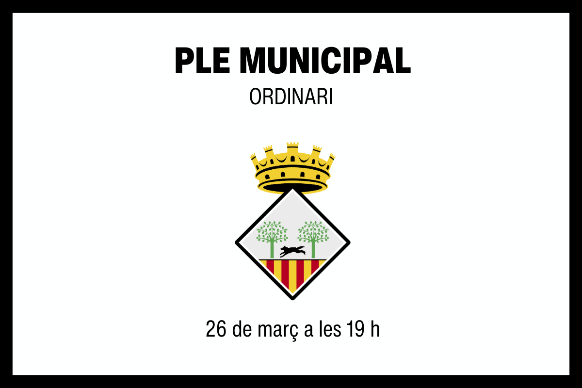 2023 10 26 Ple Municipal colors 1