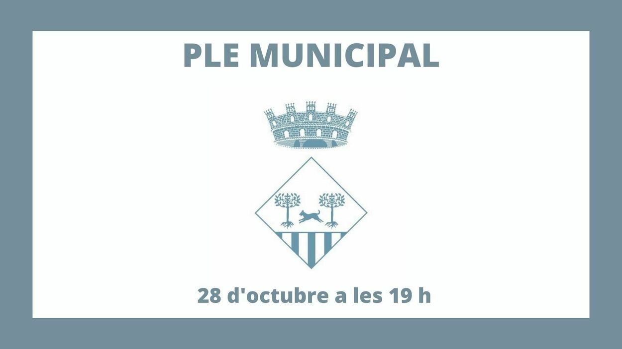 2021 10 29 Ple Municipal