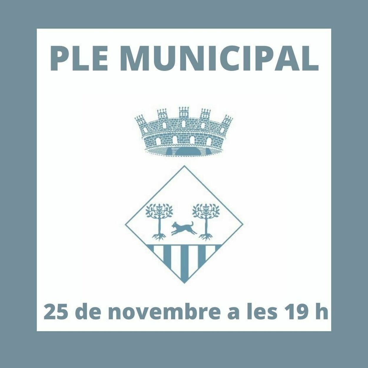 2021 10 29 Ple Municipal