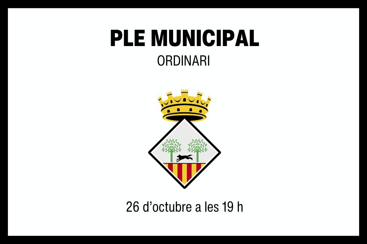 2023 10 26 Ple Municipal colors