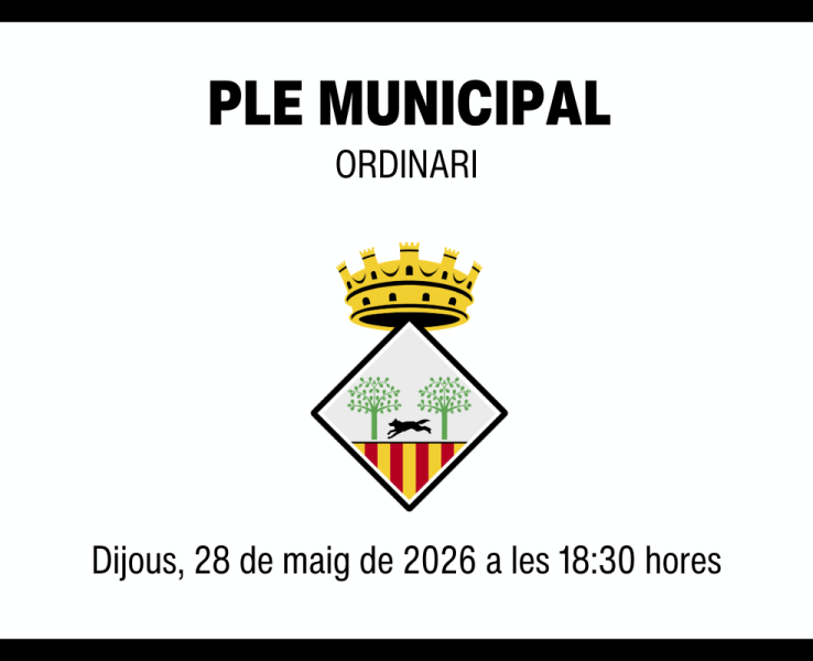 Ple municipal ordinari del 28 de maig de 2026