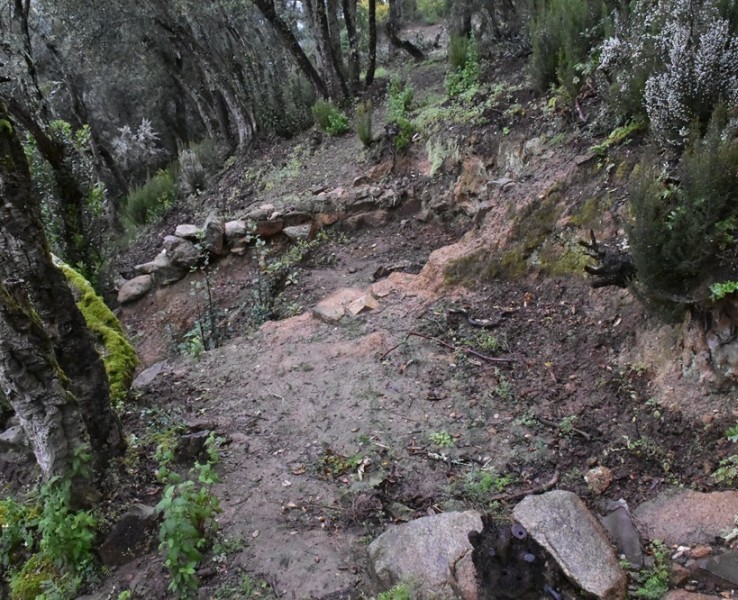 El Ple aprova una inversió per a intervencions arqueològiques al Puig del Castell