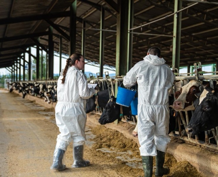 L’Ajuntament activa mesures de prevenció davant el cas de Dermatosi nodular