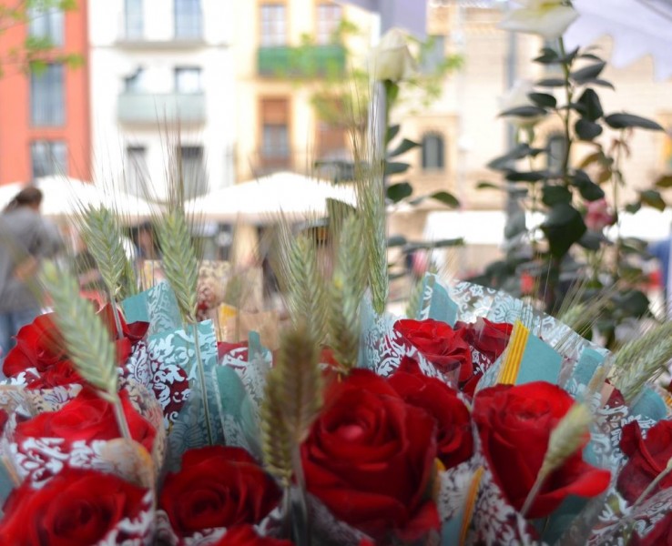 Nova Diada de Sant Jordi sense parades al carrer