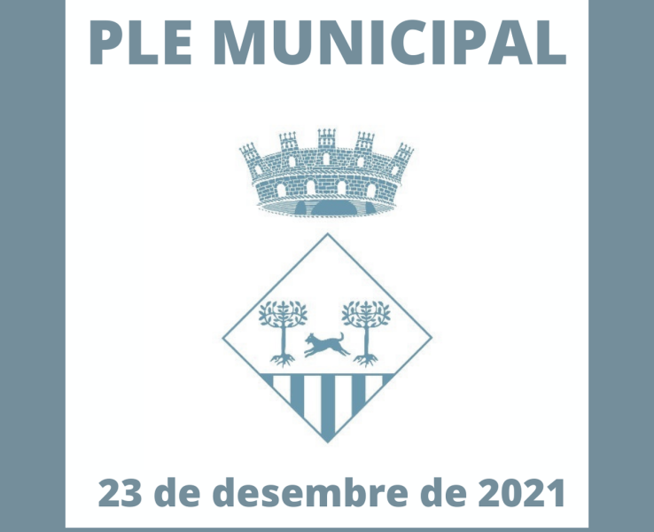 Celebració del Ple Municipal ordinari, en format telemàtic