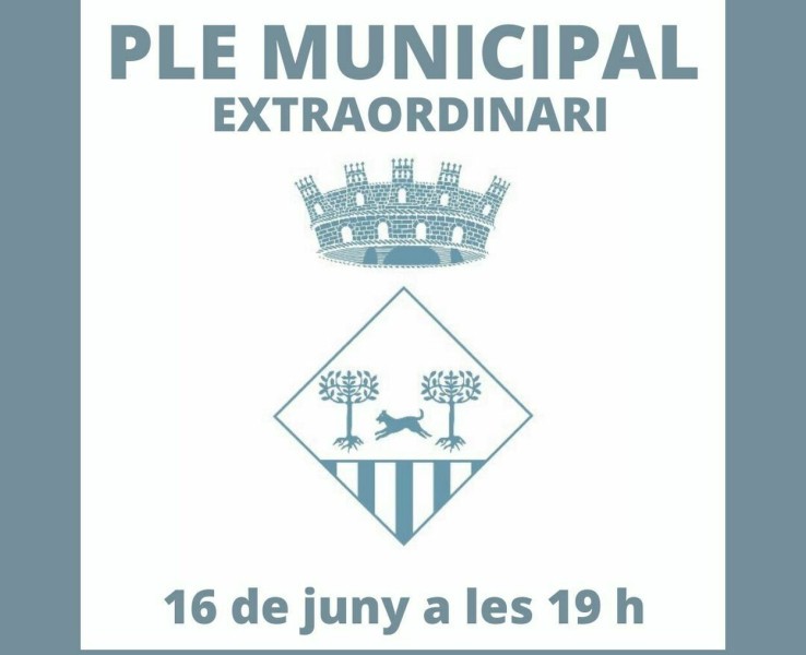 Ple municipal extraordinari del 16 de juny