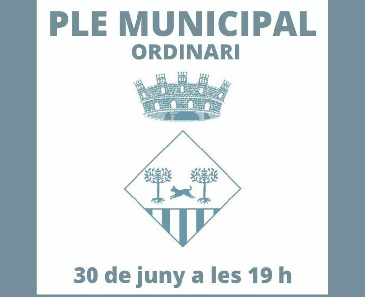 Celebració del Ple municipal ordinari del 30 de juny de 2022 a les 19 h.