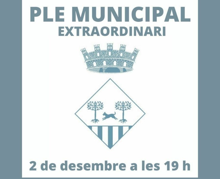 Celebració del Ple municipal extraordinari el 2 de desembre a les 19  h