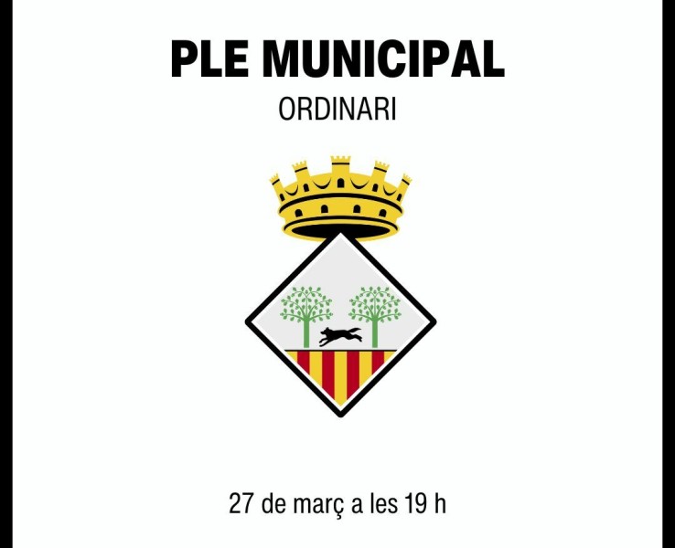 Celebració del ple municipal ordinari del 27 de març de 2025