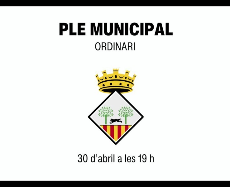 Ple municipal ordinari del 30 d'abril de 2025