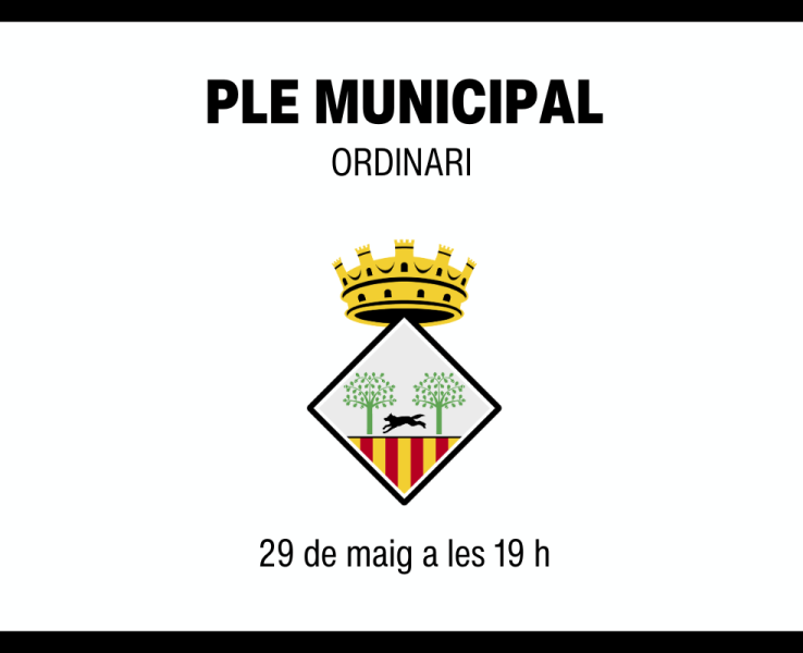 Ple municipal ordinari del 29 de maig de 2025
