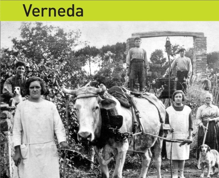 L’Arxiu Municipal presenta el setè volum de “Toponímia dels Veïnats de Cassà”, dedicat a Verneda