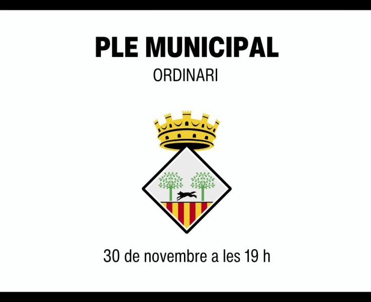 Celebració del Ple municipal ordinari del 30 de novembre a les 19 h