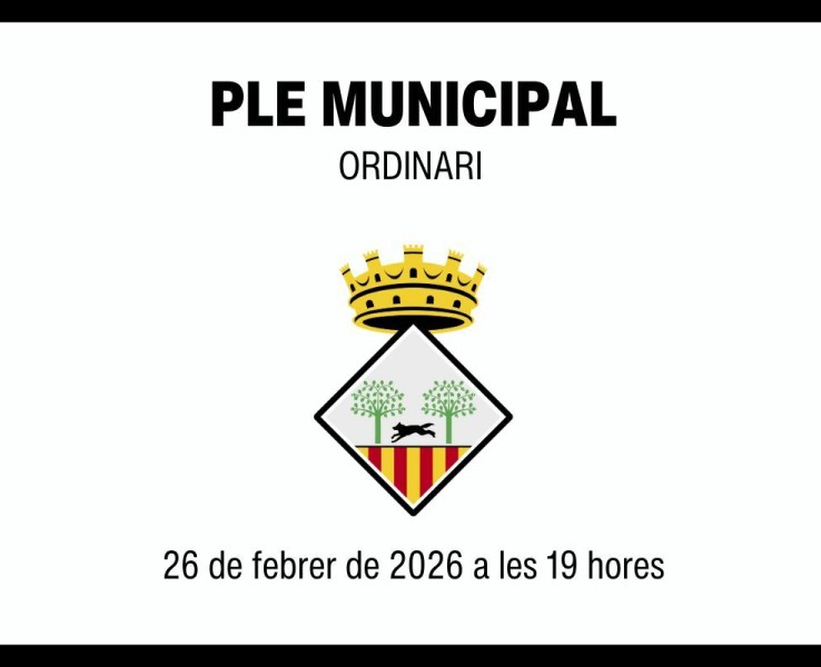 Ple municipal ordinari del 26 de febrer de 2026