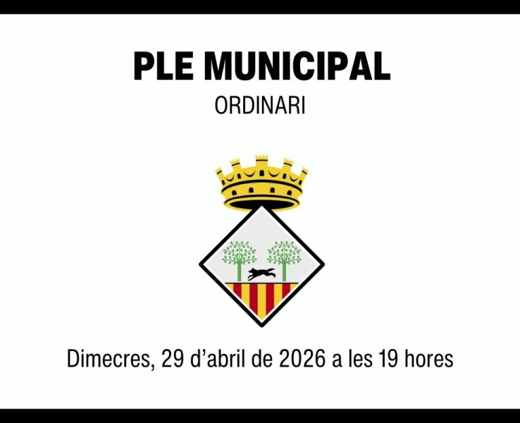 Ple municipal ordinari del 29 d'abril de 2026
